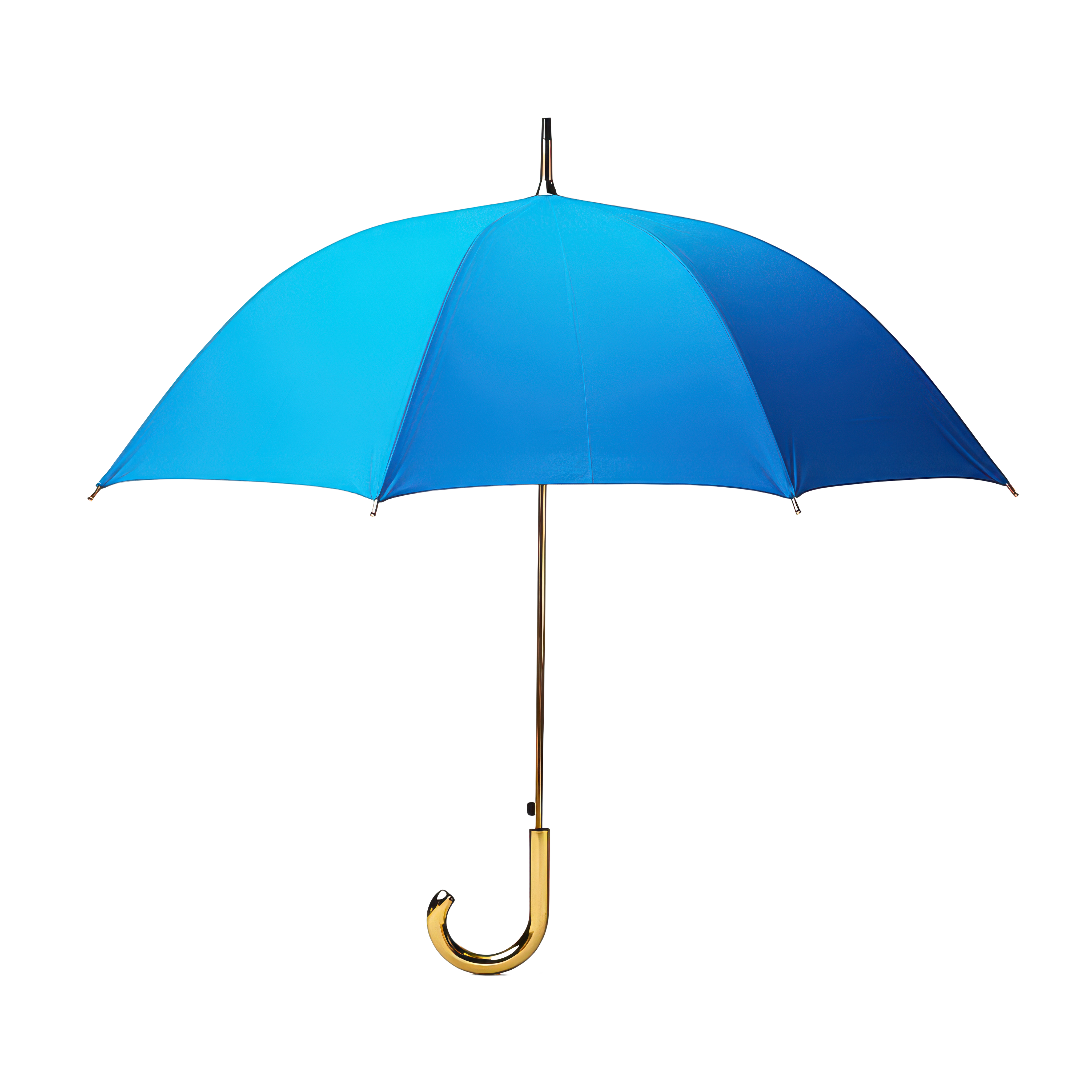 Weather Icon